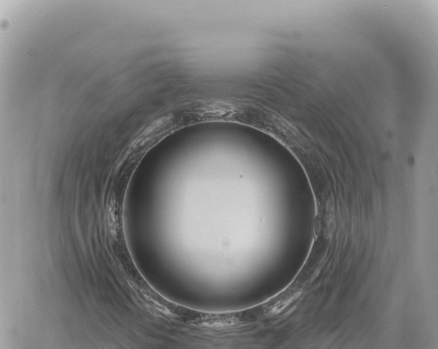 X0000060761394200511171136