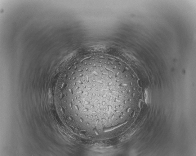 X0000060761395200511171136