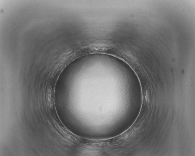 X0000060761396200511171136