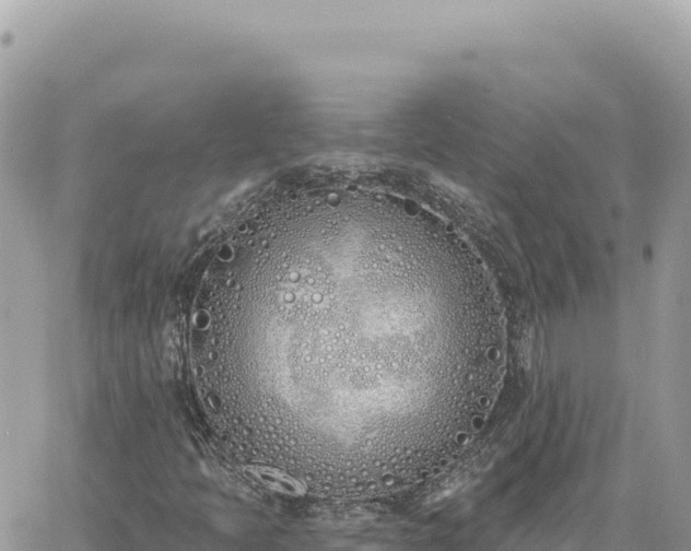 X0000060761397200511171136