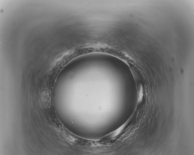 X0000060761398200511171136