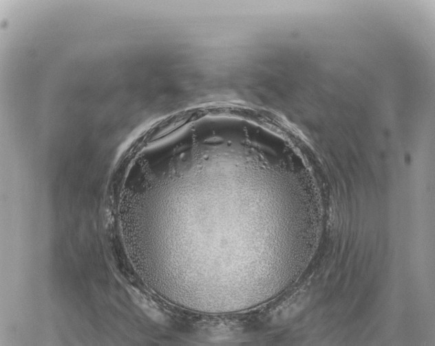 X0000060761400200511171136