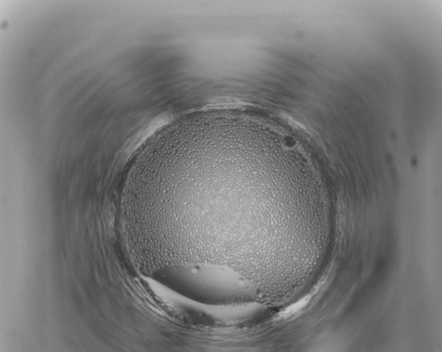 X0000060761401200511171136