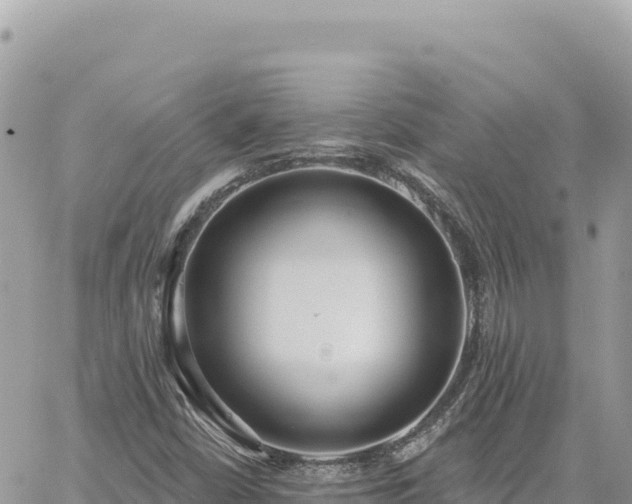 X0000060761402200511171136