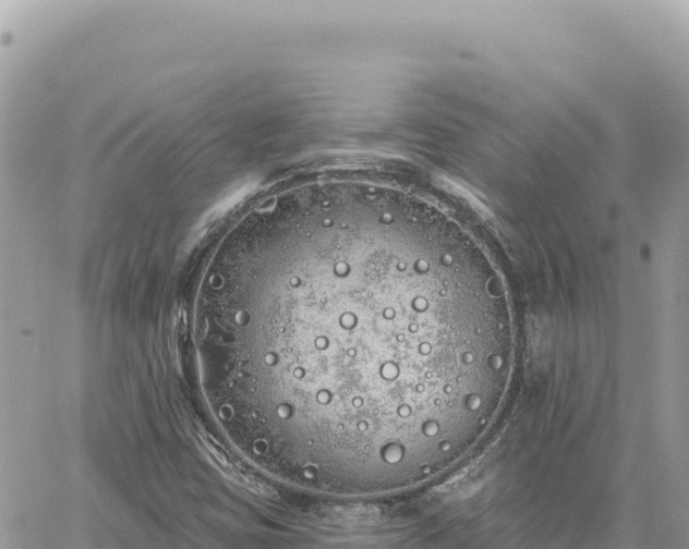 X0000060761403200511171136