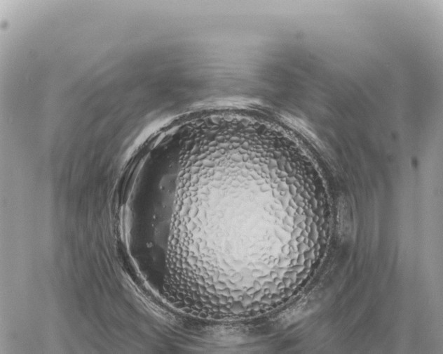 X0000060761404200511171136