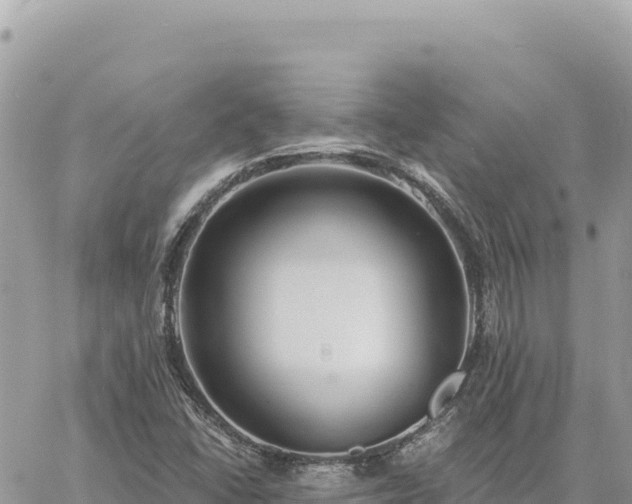 X0000060761406200511171136