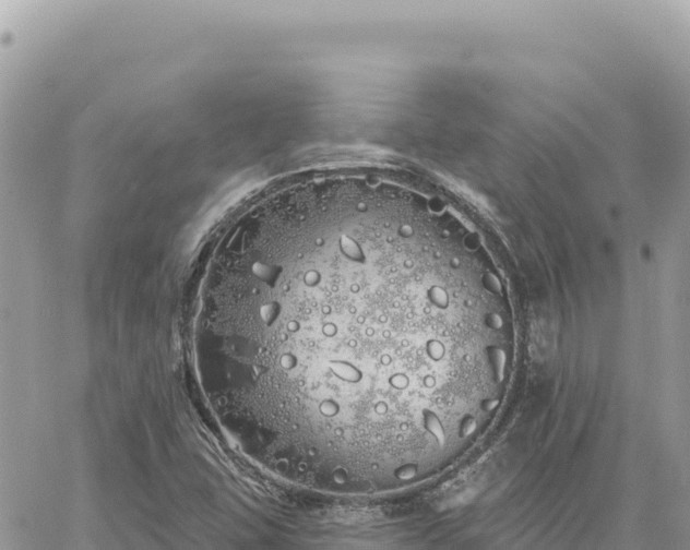 X0000060761407200511171136