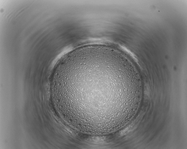 X0000060761411200511171136