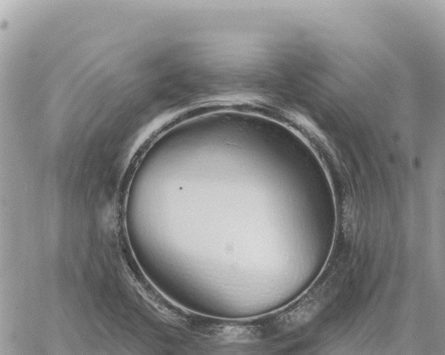 X0000060761412200511171136