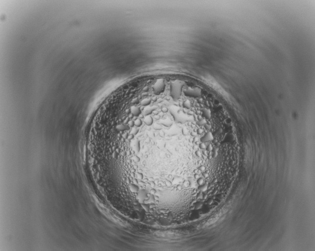 X0000060761413200511171136