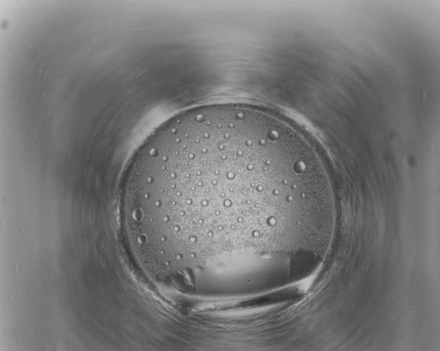 X0000060761415200511171136