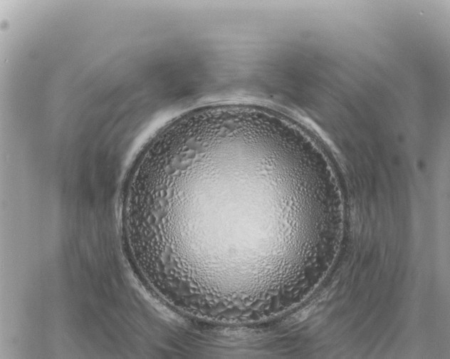 X0000060761416200511171136