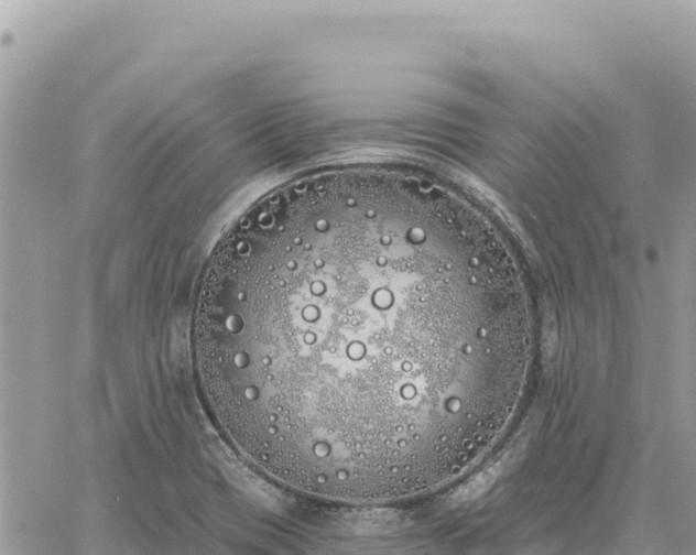 X0000060761417200511171136