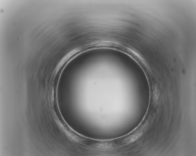 X0000060761418200511171136