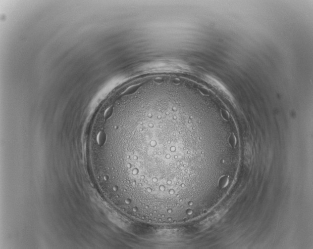 X0000060761419200511171136