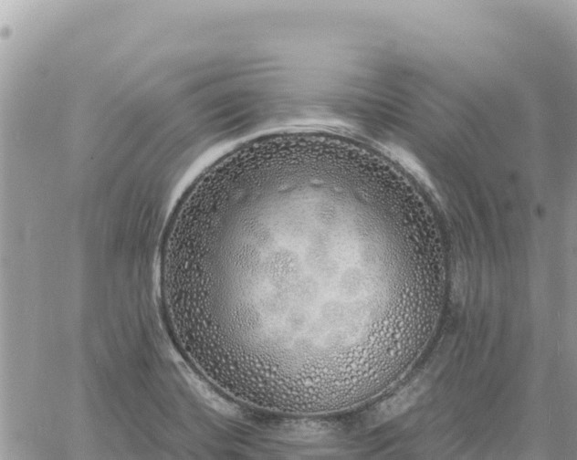 X0000060761420200511171136