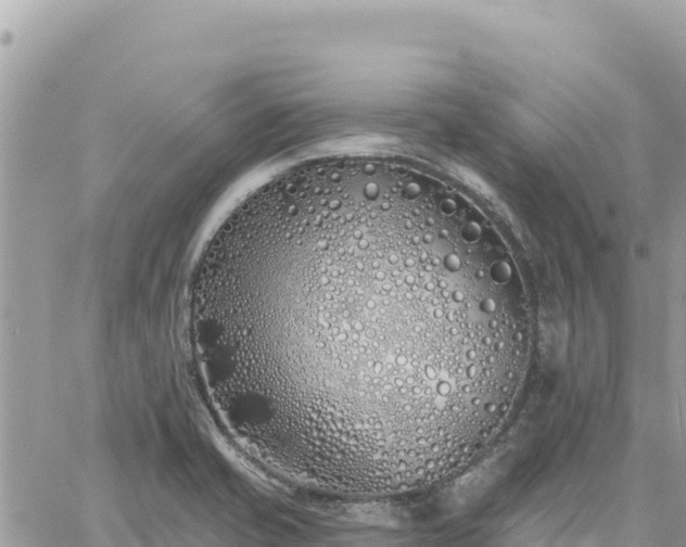 X0000060761421200511171136