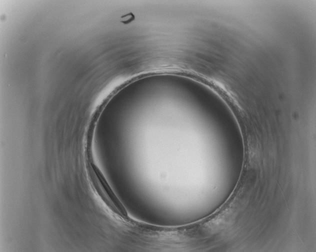 X0000060761422200511171136