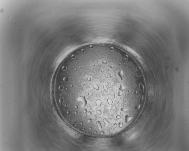 X0000060761423200511171136