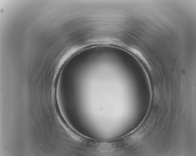 X0000060761424200511171136