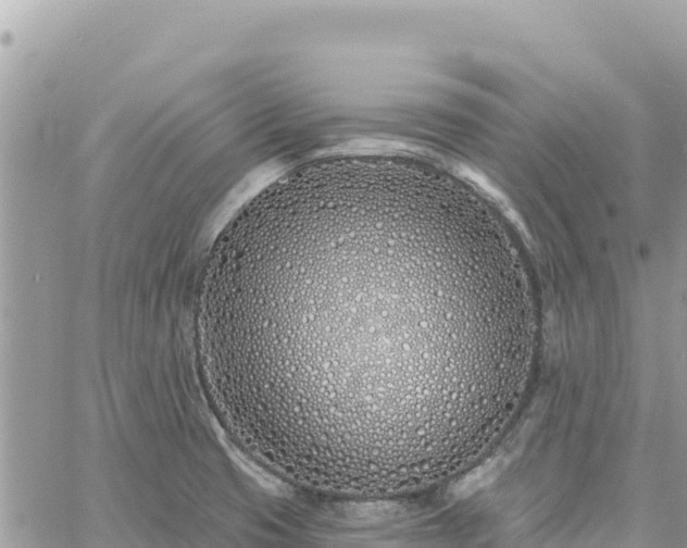 X0000060761425200511171136