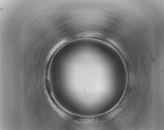 X0000060761426200511171136