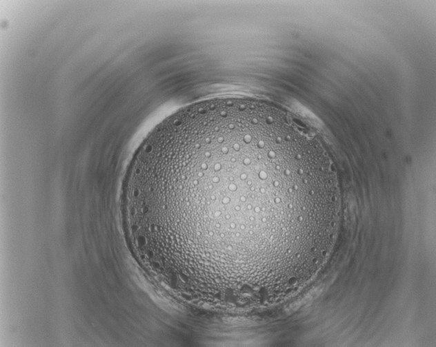 X0000060761427200511171136