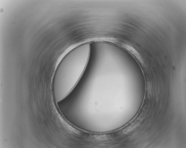 X0000060761428200511171136