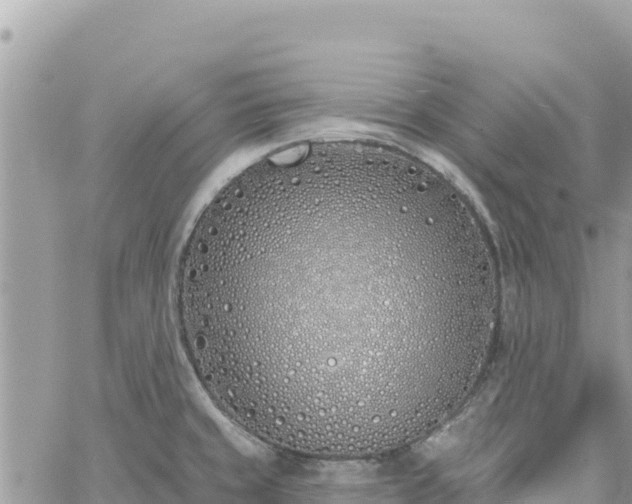 X0000060761429200511171136