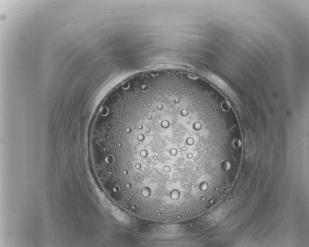 X0000060761431200511171137