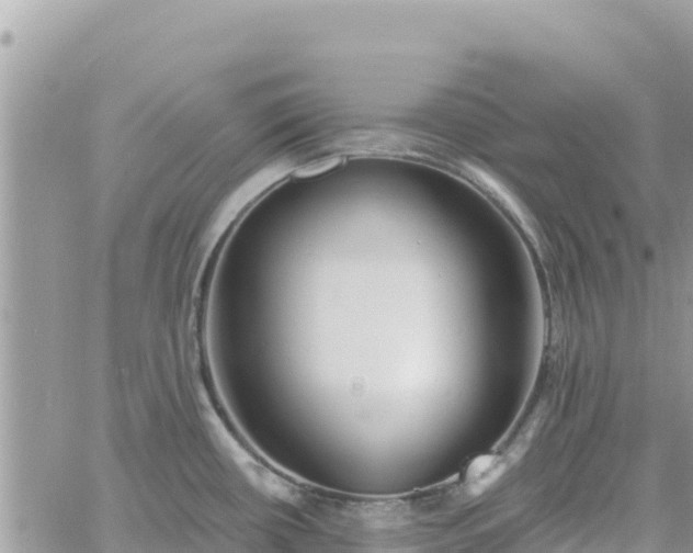 X0000060761434200511171137