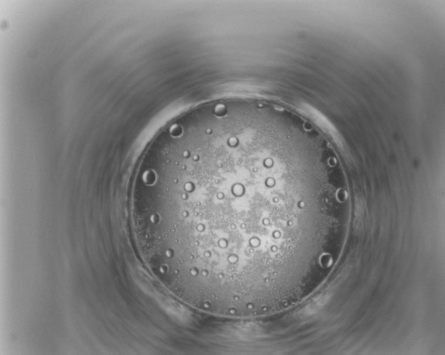 X0000060761435200511171137