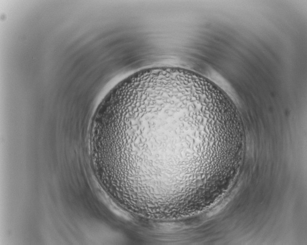 X0000060761436200511171137