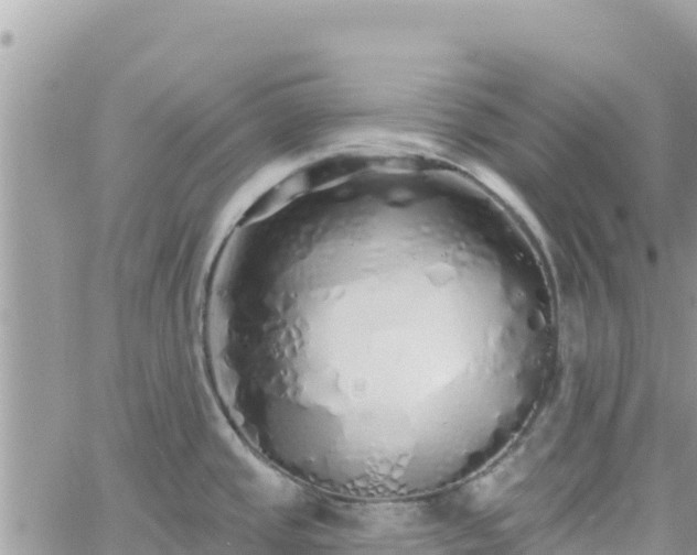 X0000060761437200511171137