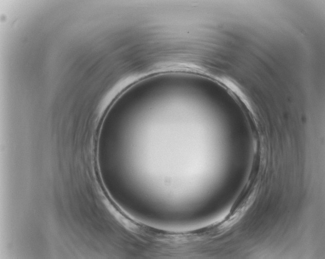 X0000060761438200511171137