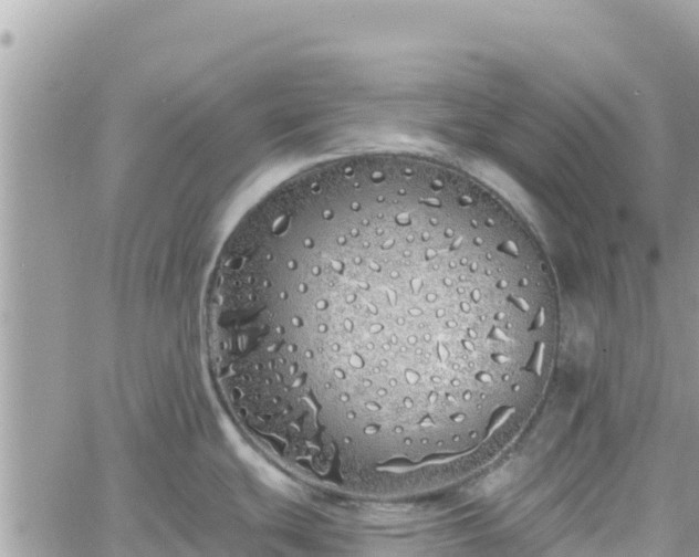 X0000060761439200511171137