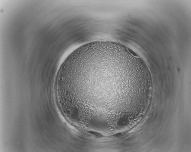 X0000060761440200511171137