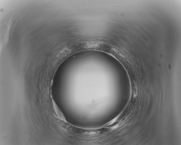 X0000060761441200511171136