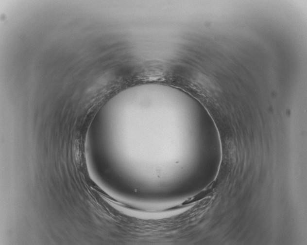 X0000060761442200511171136