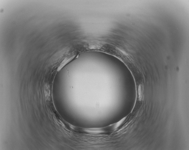 X0000060761443200511171136