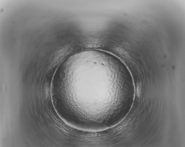 X0000060761444200511171136