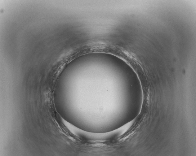 X0000060761445200511171136