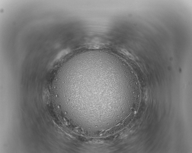 X0000060761446200511171136