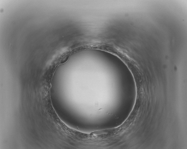 X0000060761447200511171136