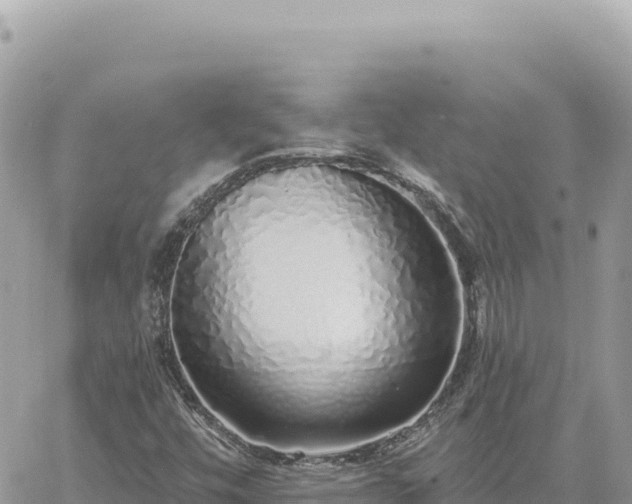 X0000060761448200511171136