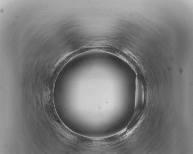 X0000060761449200511171136