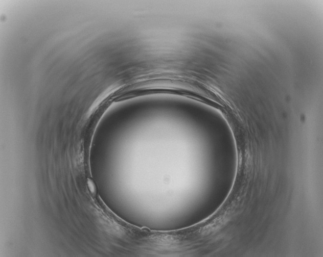 X0000060761450200511171136