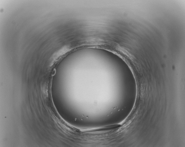 X0000060761451200511171136