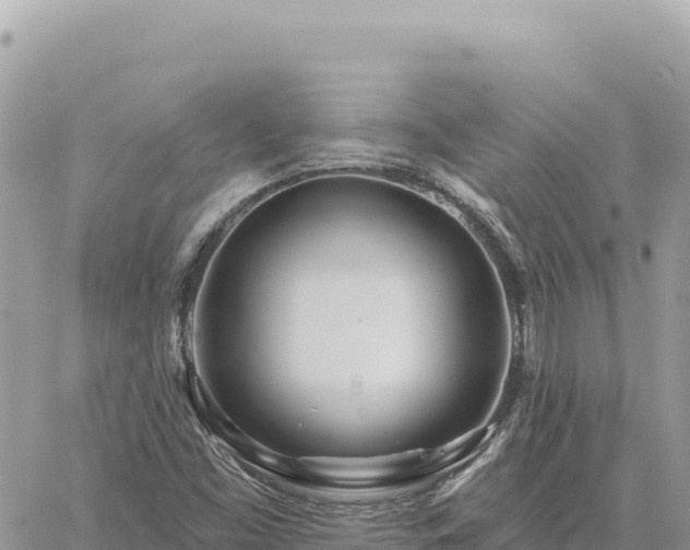 X0000060761453200511171136